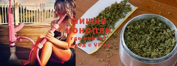 spice Богородск