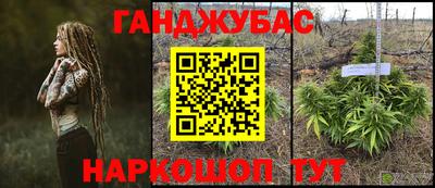 PSILOCYBIN Заволжье