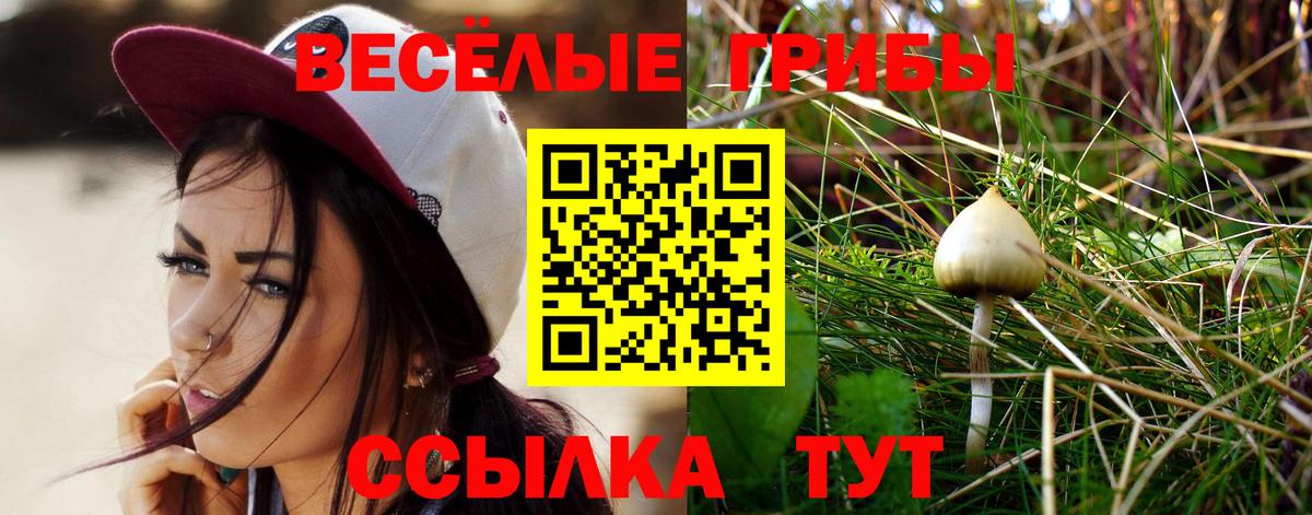 Псилоцибиновые грибы мицелий  Вход с VPN  Псилоцибиновые грибы ЛСД  Менделеевск 